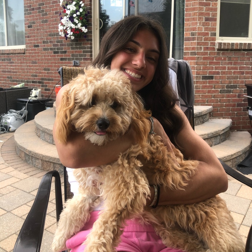 Meet your Posher, Alisynne